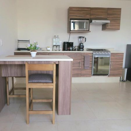 شقة Departamento Tequis, Totalmente Nuevo En El Corazon De Slp سان لويس بوتوسي المظهر الخارجي الصورة
